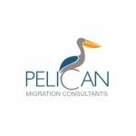 Pelicanmigration Profile Picture